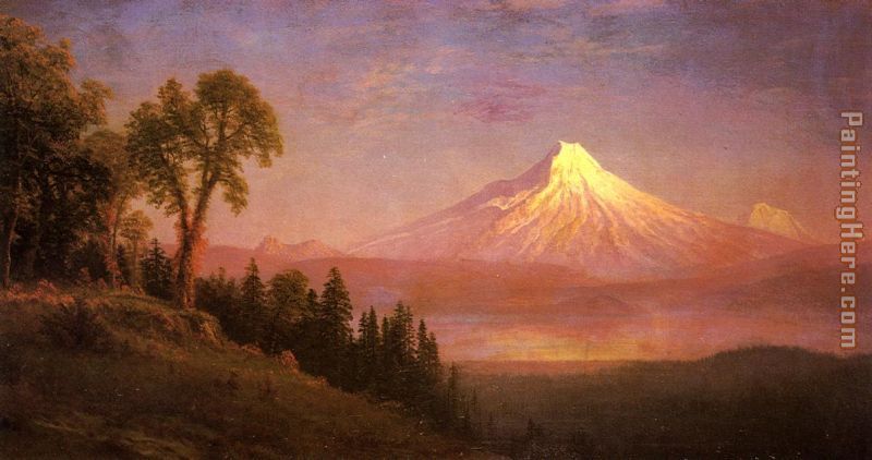Mount St. Helens, Columbia River, Oregon painting - Albert Bierstadt Mount St. Helens, Columbia River, Oregon art painting